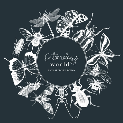 Hand-sketched insect wreath template. Hand drawn beetles, bugs, butterflies, dragonfly, cicada, moths, bee illustrations in vintage style. Entomological frame vector design on chalkboard